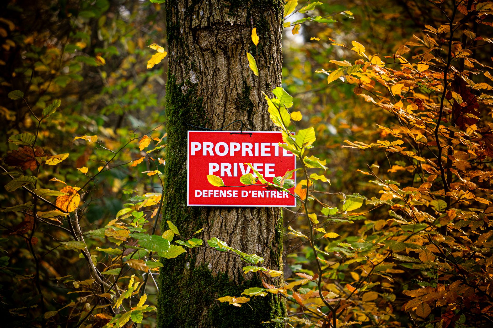 Détective privé à Angers